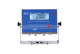 本安型防爆仪表（经济型）XK3115